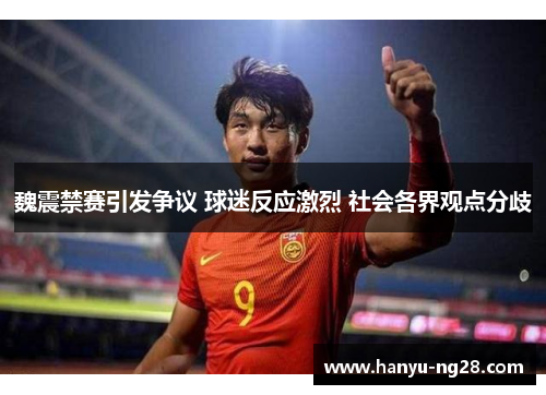 魏震禁赛引发争议 球迷反应激烈 社会各界观点分歧