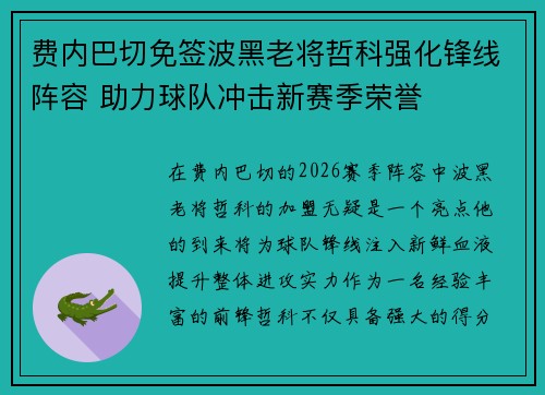 费内巴切免签波黑老将哲科强化锋线阵容 助力球队冲击新赛季荣誉 费内巴切免签波黑老将哲科强化锋线阵容 助力球队冲击新赛季荣誉